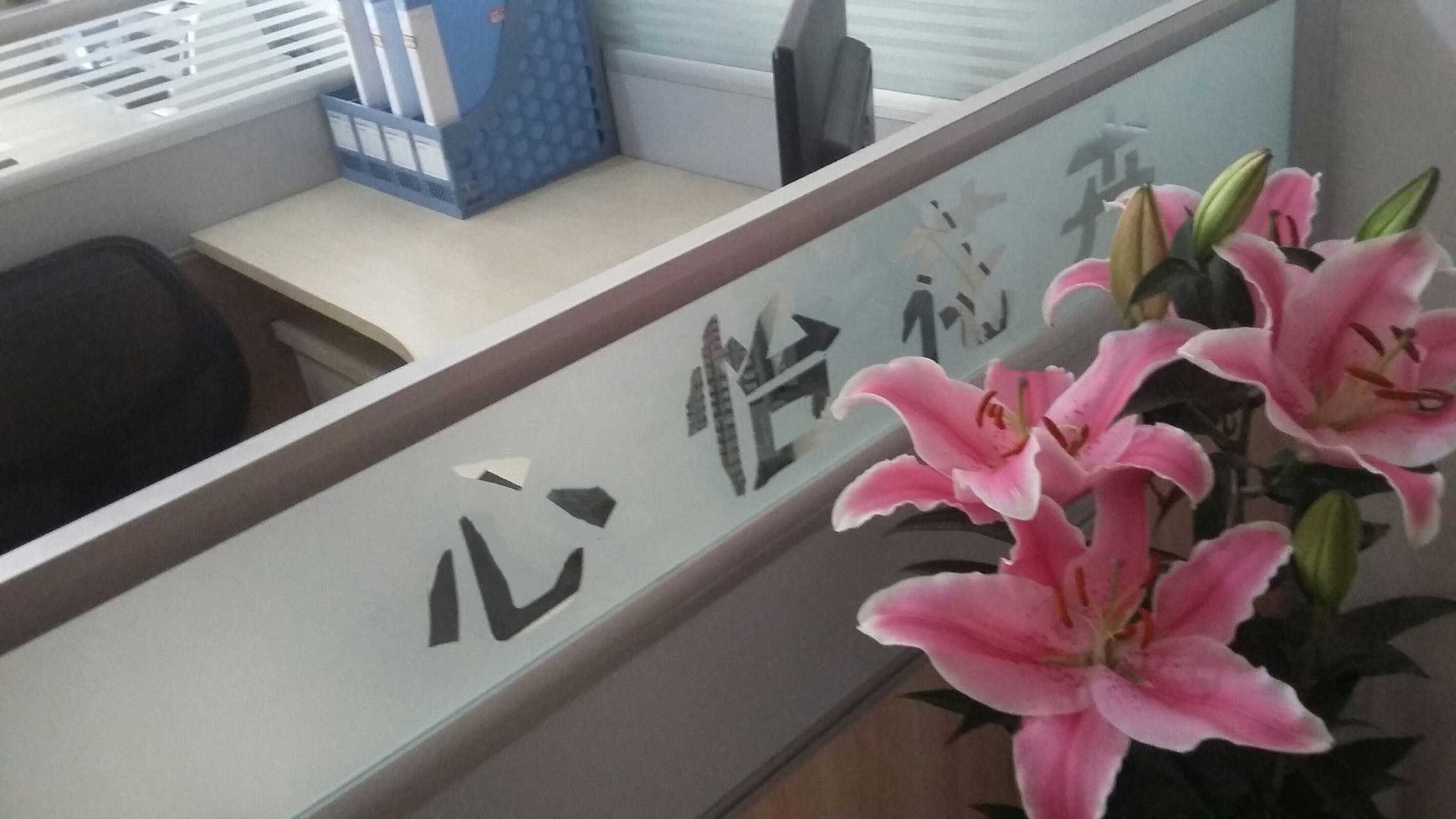 成都心怡花卉租賃有限公司 成都心怡花卉租賃有限公司